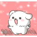 쑥쑥이포차 네이버블로그