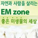이엠존