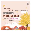 무정면 은행나무 축제 | 전남 담양 아이와 가볼만한곳 무정면 은행나무축제 드라이브 데이트 추천