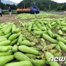 간동우체국 이미지