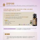 토탈아로마 - 북구 동천로 128-14 | 토탈아로마