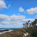 푸른마을차오름태권도장 | 제주 올레길 코스 추천! 협재에서 월령까지 올레길 14코스 리얼 후기