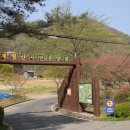고란길(길안면) 티스토리