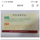 울릉도 고로쇠 이미지