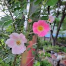 13월의아침 이미지