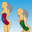 비타민휘트니스 13호점 이미지