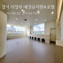 카르펫디엠 강아지유치원 이미지