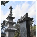 성광통상 이미지