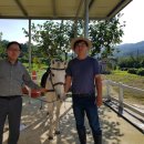 포니힐링관광민박 이미지