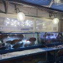 신풍종합어시장 | 영등포횟집 신풍종합어시장｜도다리세꼬시 맛있었던 영등포역횟집 직원응대는..솔직후기