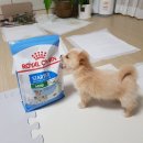 손진규동물병원 이미지