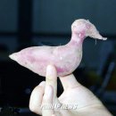 Netizen Eye News. 2005년 8월 22일 월요일. 이미지