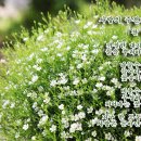 운수3리 마을회관 이미지