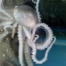 하의중학교 이미지