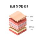EMS TEC | 더프라이빗 스튜디오레이나에서 몸매관리를 위한 20분 운동 6시간 운동 효과 EMS/EMA 트레이닝을 해요 !
