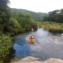 트리하우스민박 이미지