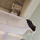 e편한세상 시티 인하대역 | e편한세상시티인하대역 1.5룸 입주청소 미추홀구 숭의동 오피스텔 입주청소 후기