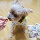 얌얌스토리 이미지