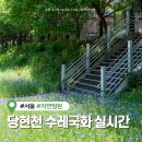상계주공7단지(714동 앞) 버스정류장 | 서울 5월 꽃구경 당현천 퍼플정원 수레국화 실시간 개화현황(강아지 동반 가능)