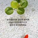 ◇ 장흥군, 무선통신 활용 인터넷 서비스 확대 이미지