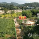 나무와숲영어교실