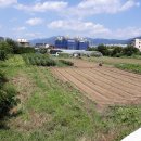 대저로273번길 이미지