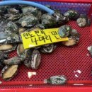 민영활어공장산본 이미지