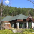 하이원 컨트리클럽 이미지