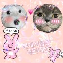 호텔라인 | &#39; 대전둔산동 / 레지던스호텔라인 &#39; 1박 솔직한 후기