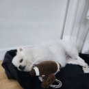 느티나무요정들펜션