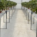 윤택농장 이미지