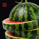 삼광창고 | 코스트코 수박 가격 후기｜26,490원 주고 산 내돈내산, 당도 만족!