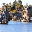 석림4로 이미지