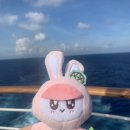 Bongbong at Caribbean sea 이미지