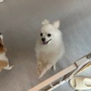 몽몽솔솔 이미지