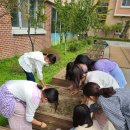 새봄초등학교 이미지