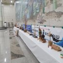 대구수필작은도서관 이미지