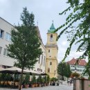 바구 스틸 이미지