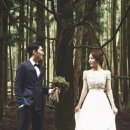 뉴피앙세 이미지