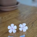 백소정천안두정점 | 천안 두정동 꽃집 추천｜머물다꽃집 천안두정점 꽃다발 중 사이즈 후기, 가장 인기 많은 7만원 꽃다발