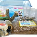 구성사슴농장 이미지