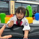 용인대 영웅 태권도장 이미지