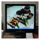 첨성대스파랜드 이미지