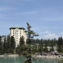 레이크펫스토어 - 수원시 영통구 법조로 25 | [Banff] DAY 2: 페어몬트 샤토 레이크 루이스 호텔 구경하기