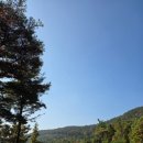 광양컨트리클럽 | 광양컨트리클럽후기