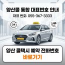 울산택시미터 | 양산 콜택시 예약 전화번호 부르는법 요금 안내