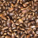 오장육부약차 | 경기 가평 잣, 예와 약의 품격을 담은 조선의 견과