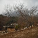 왜골민박 이미지