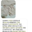 박사 세탁 이미지