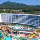 스플라스리솜